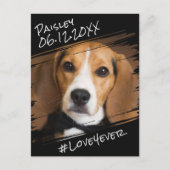 Carte Postale Moderne Chic Élégant Simple Noir Poet Chien Keepsa (Devant)