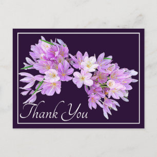 Carte Postale Moderne Crocus Floral Rose Violet Joli Merci