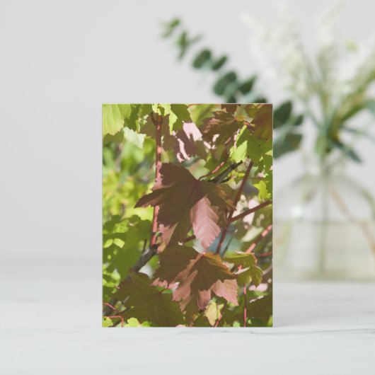 Carte Postale Modification des feuilles d'automne (Debout devant)