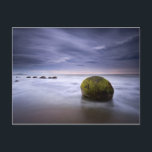 Carte Postale Moeraki Boulders Sunrise Seascape<br><div class="desc">Moeraki rochers lever de soleil</div>
