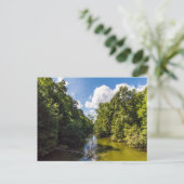 Carte Postale Mohican River en été, Mohican State Park, Ohio (Debout devant)