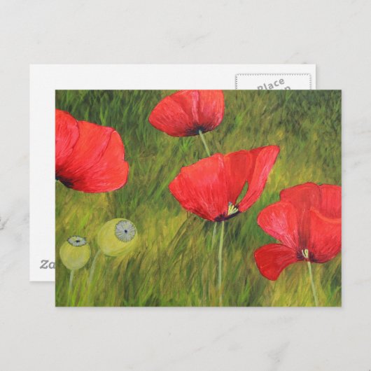 Carte Postale Mohnfeld (Devant / Derrière)