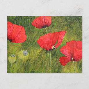 Carte Postale Mohnfeld