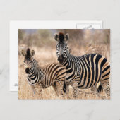 Carte Postale Moi et maman (Devant / Derrière)