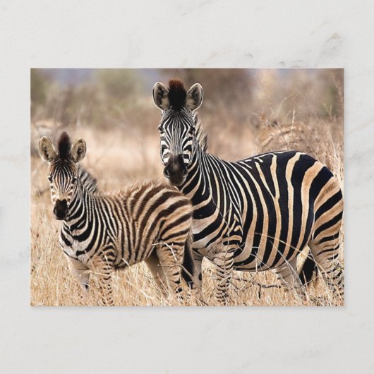 Carte Postale Moi et maman (Devant)