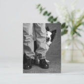 Carte Postale Moi et mon ombre - Collie Dog (Debout devant)