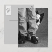 Carte Postale Moi et mon ombre - Collie Dog (Devant / Derrière)