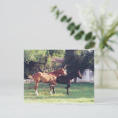 Carte Postale MOI & MA OMBRE -carte postale (Debout devant)