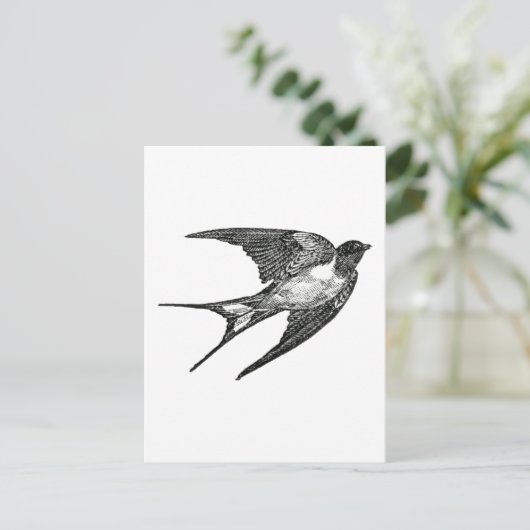 Carte Postale moineau (Debout devant)