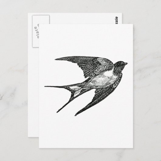 Carte Postale moineau (Devant / Derrière)