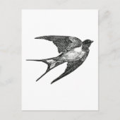 Carte Postale moineau (Devant)