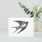 Carte Postale moineau (Debout devant)