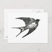 Carte Postale moineau (Devant / Derrière)