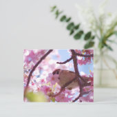 Carte Postale moineau mignon sur le cerisier (Debout devant)