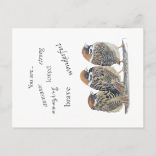 Carte Postale Moineau oiseau drôle encourageant et solidaire