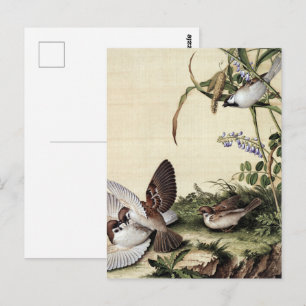 Carte Postale Moineaux et fleurs violettes de style chinoiserie
