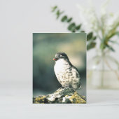 Carte Postale Moins d'audits (Debout devant)