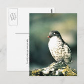 Carte Postale Moins d'audits (Devant / Derrière)