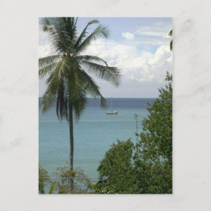 Carte Postale Moira à l'ancre, Bahia Drake, Costa Rica