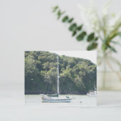 Carte Postale Moira sur amarrage, Angel Island, San Francisco (Debout devant)