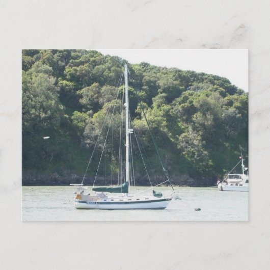 Carte Postale Moira sur amarrage, Angel Island, San Francisco (Devant)