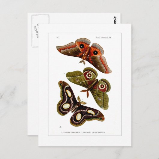 Carte Postale Mois (Devant / Derrière)