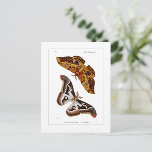 Carte Postale Mois (Debout devant)