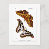 Carte Postale Mois (Devant)