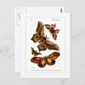 Carte Postale Mois (Devant / Derrière)