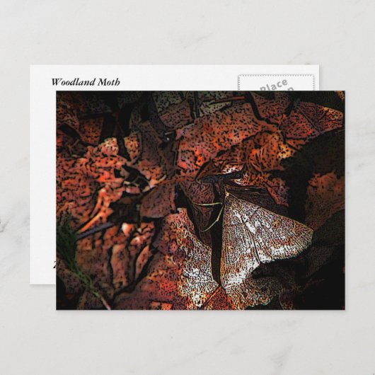 Carte Postale Mois des bois (Devant / Derrière)