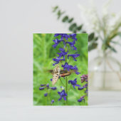 Carte Postale Mois des colibris (Debout devant)