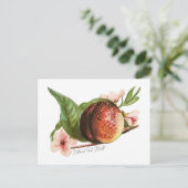 Carte Postale Mois national de la pêche (Debout devant)