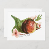 Carte Postale Mois national de la pêche (Devant / Derrière)