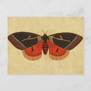 Carte Postale Mois vintage