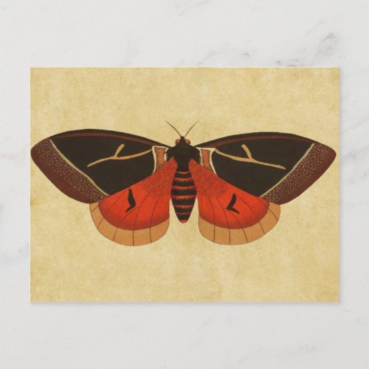 Carte Postale Mois vintage (Devant)