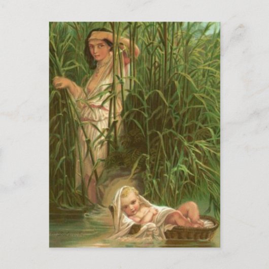Carte Postale Moïse Bébé Et Le Nil (Devant)