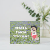 Carte Postale Moïse dans Bluebonnets (Debout devant)