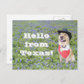 Carte Postale Moïse dans Bluebonnets (Devant / Derrière)