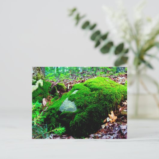 Carte Postale moisissure (Debout devant)