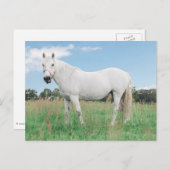 Carte Postale moisissure blanche sur une prairie (Devant / Derrière)