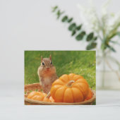Carte Postale Moisson d'automne Chipmunk (Debout devant)