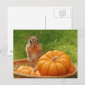 Carte Postale Moisson d'automne Chipmunk (Devant / Derrière)
