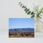 Carte Postale Mojave Morning (Debout devant)