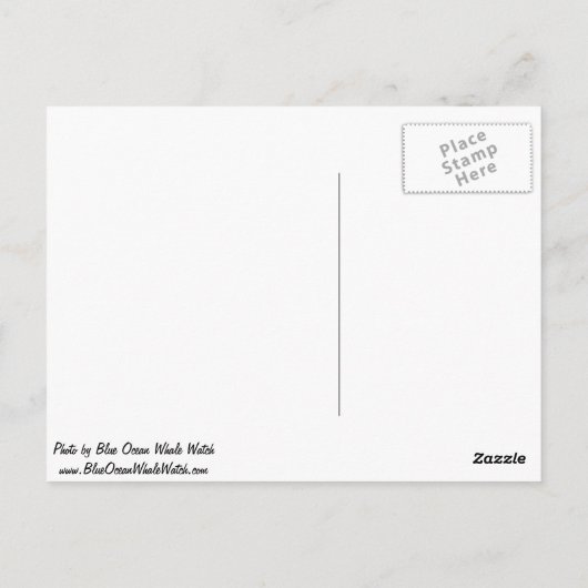 Carte postale Mola mola (poisson blanc) (Dos)