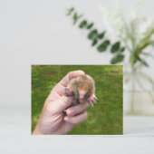 Carte Postale mole à la main contre grass.jpg (Debout devant)