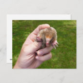 Carte Postale mole à la main contre grass.jpg (Devant / Derrière)