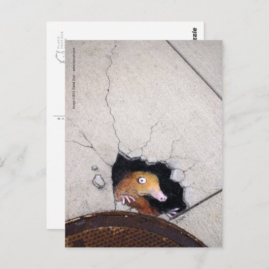 Carte Postale mole maladroite (Devant / Derrière)