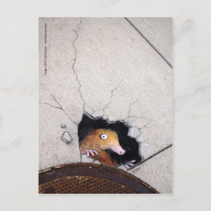 Carte Postale mole maladroite