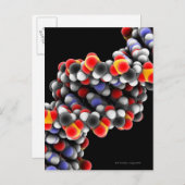 Carte Postale molécule d'ADN. Modèle moléculaire de l'ADN (Devant / Derrière)