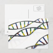 Carte Postale molécules d'ADN (acide désoxyribonucléique). (Devant / Derrière)